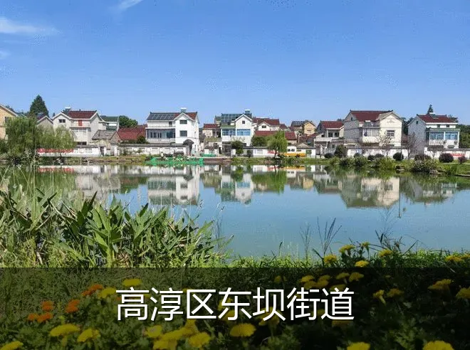 高淳区东坝街道